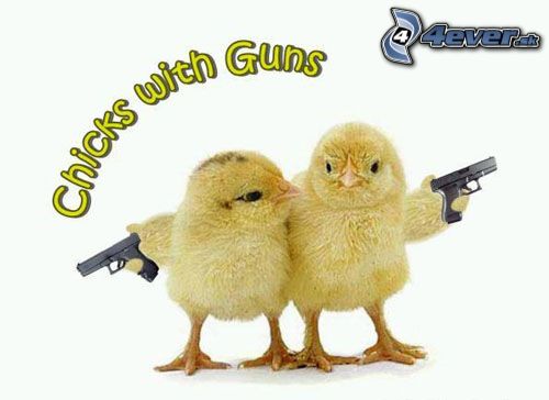 [obrazky.4ever.sk] chicks with guns 6749598.jpg