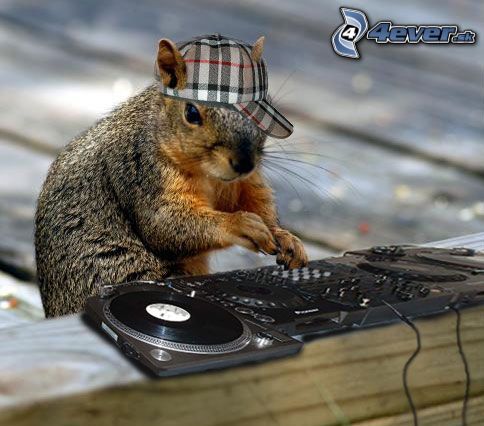 [obrazky.4ever.sk] vevericiak DJvevericka, dj 8700245.jpg